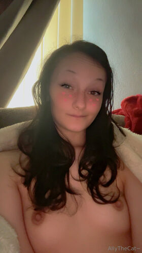 AllyTheCat