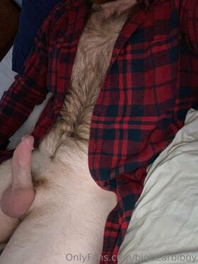 bigbearbiboy