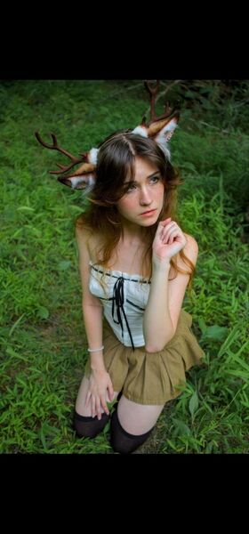 Blossom In The Moonlight