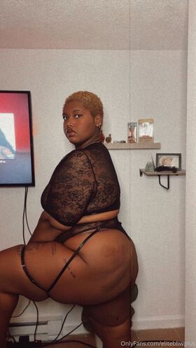 elitebbwplus