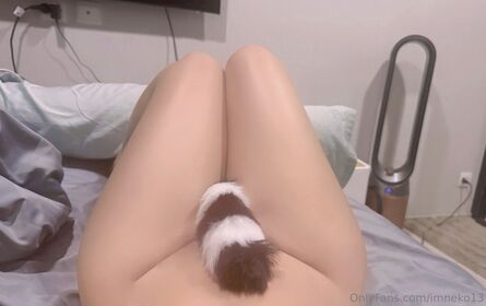 Imneko13