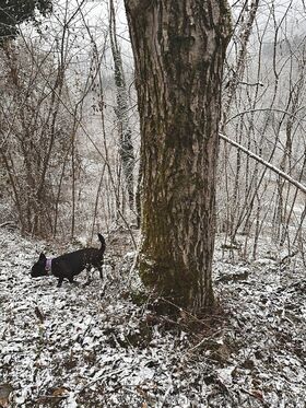 jxkjessicadominatrix