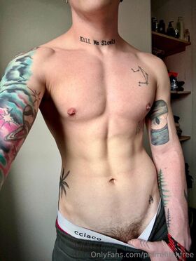 pierrefitchfree