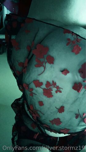silver.stormz19