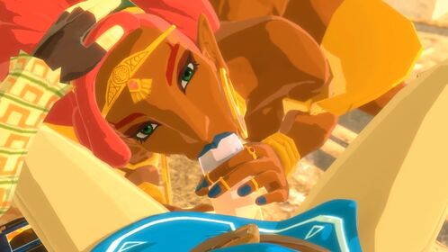 The Legend of Zelda Porn